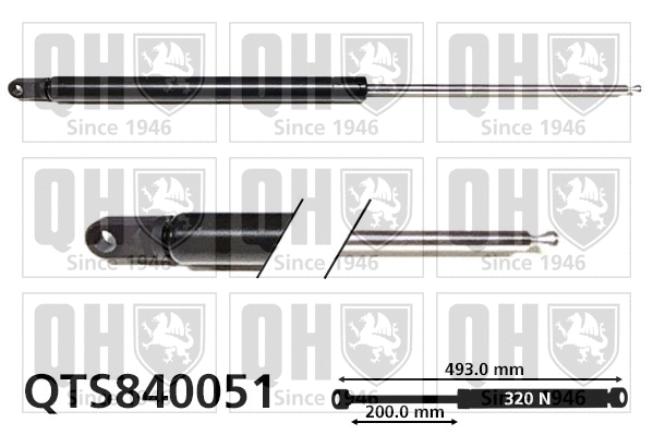 Gas Spring, boot/cargo area (QTS840051)