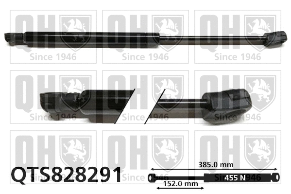 Gas Spring, boot/cargo area (QTS828291)