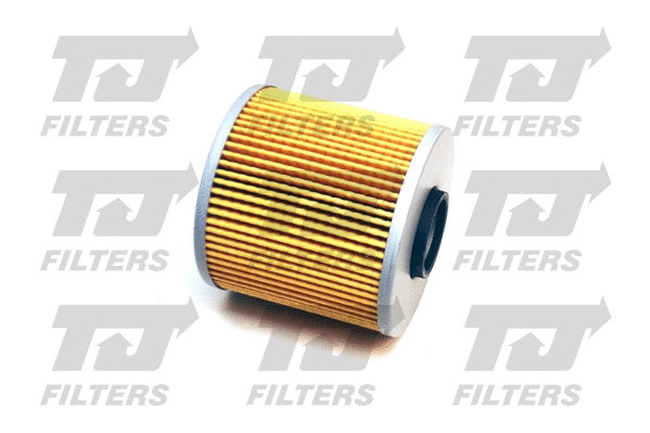 Oil Filter (QFL0145)