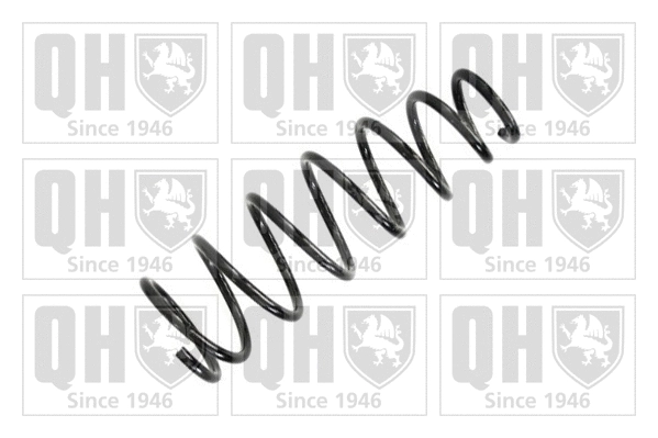 Suspension Spring (QCS5199)