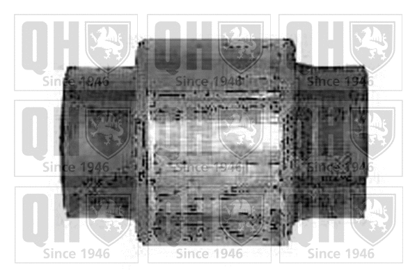 Mounting, control/trailing arm (EMS8178)
