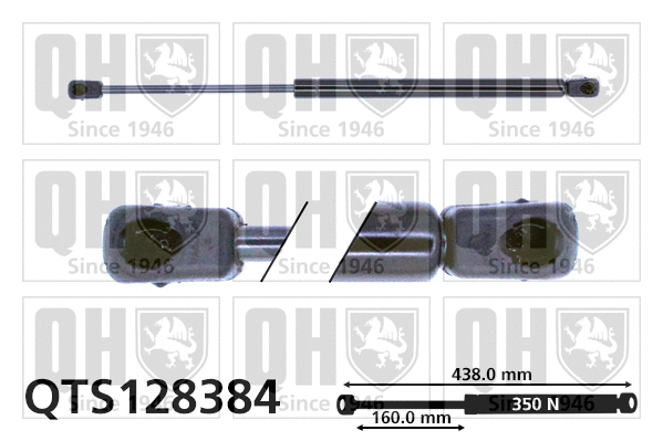 Gas Spring, boot/cargo area (QTS128384)