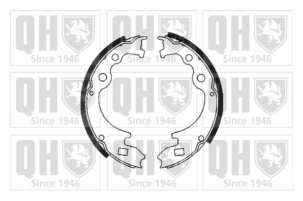 Brake Shoe Set (BS737)