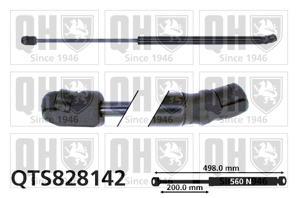 Gas Spring, boot/cargo area (QTS828142)