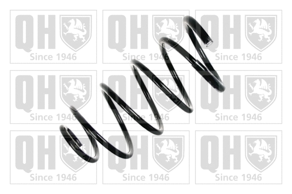 Suspension Spring (QCS6194)