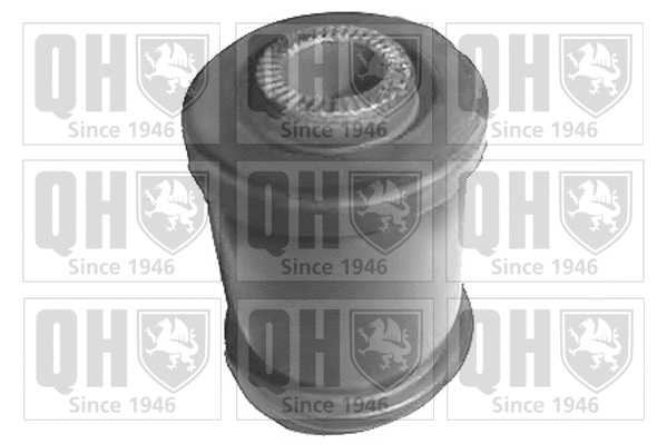 Mounting, control/trailing arm (EMS8010)