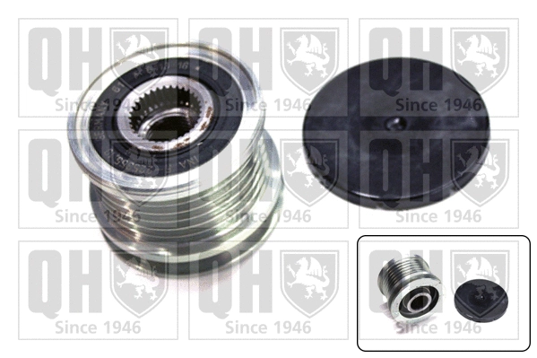 Alternator Freewheel Clutch (QTR102)