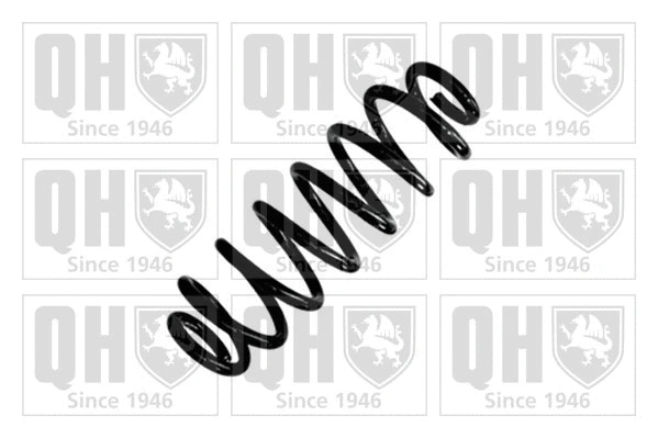 Suspension Spring (QCS6836)