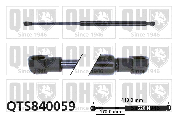 Gas Spring, boot/cargo area (QTS840059)