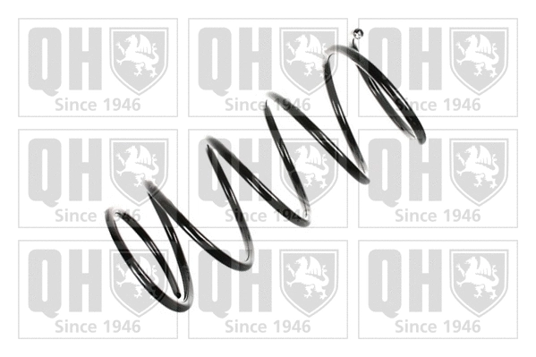 Suspension Spring (QCS6208)