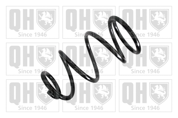 Suspension Spring (QCS5605)