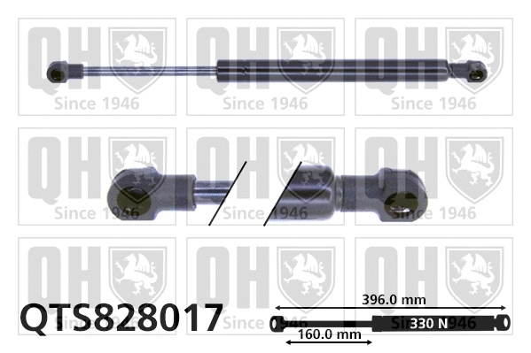 Gas Spring, bonnet (QTS828017)