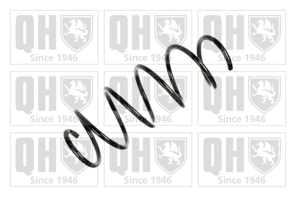 Suspension Spring (QCS6690)