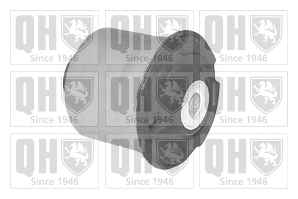Mounting, control/trailing arm (EMS8447)