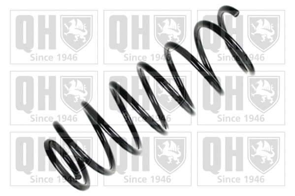 Suspension Spring (QCS6339)