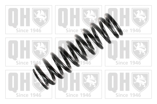 Suspension Spring (QCS5673)