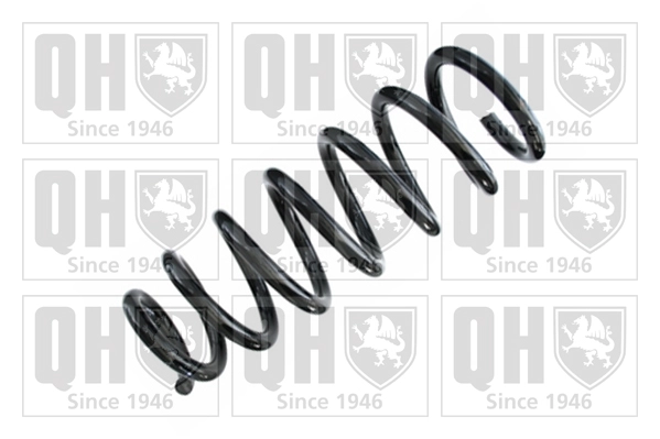 Suspension Spring (QCS8491)