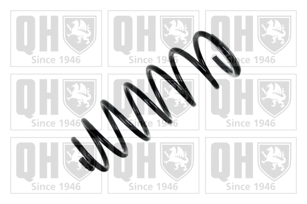 Suspension Spring (QCS5308)