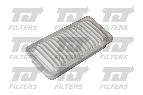 Air Filter (QFA0689)