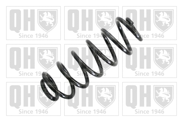 Suspension Spring (QCS6643)