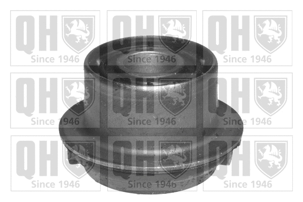 Mounting, control/trailing arm (EMS8143)