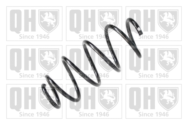 Suspension Spring (QCS7047)