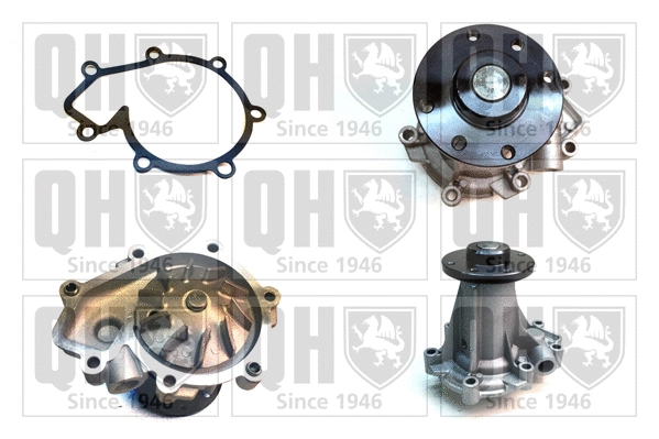Water Pump, engine cooling (QCP3891)