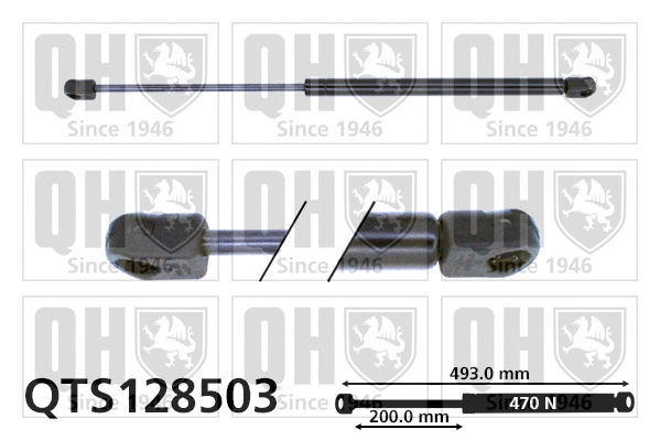 Gas Spring, boot/cargo area (QTS128503)