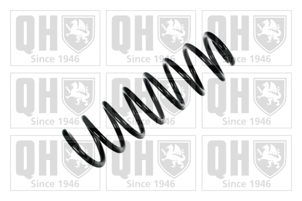 Suspension Spring (QCS5827)