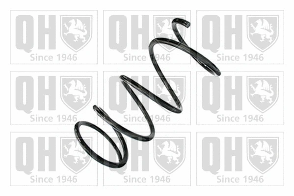 Suspension Spring (QCS8891)
