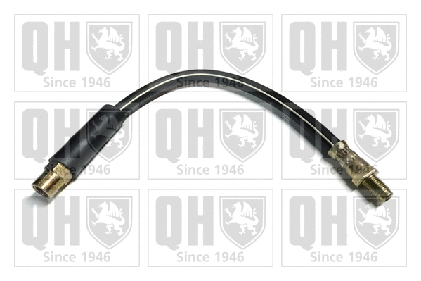 Brake Hose (BFH4922)