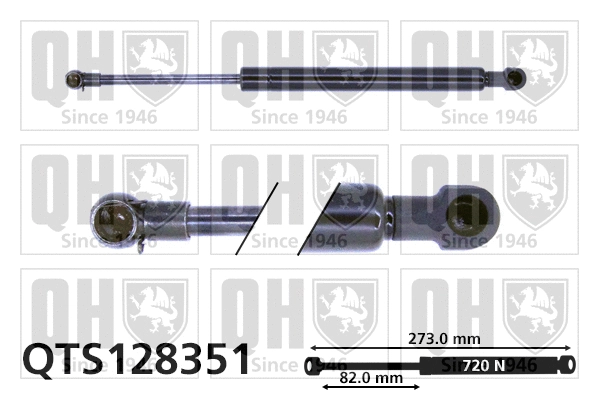 Gas Spring, boot/cargo area (QTS128351)