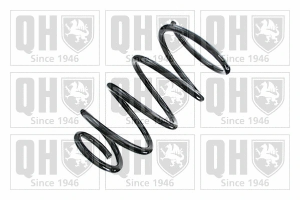 Suspension Spring (QCS9094)