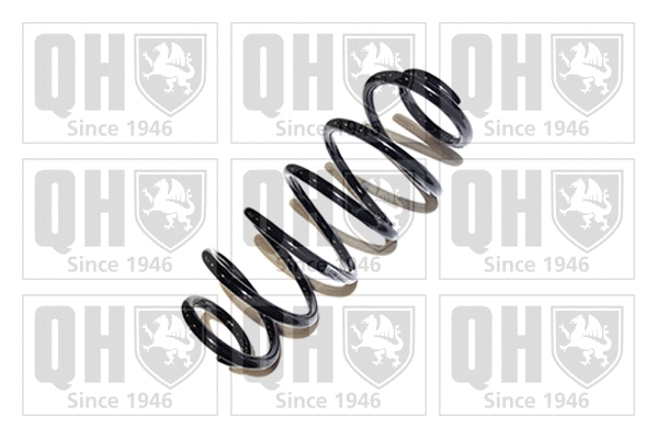 Suspension Spring (QCS5498)