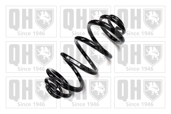 Suspension Spring (QCS6332)