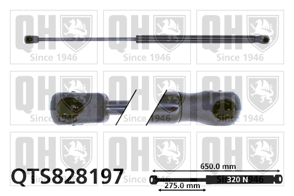Gas Spring, bonnet (QTS828197)
