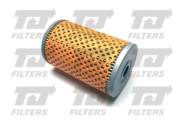 Fuel Filter (QFF0142)