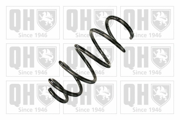 Suspension Spring (QCS8987)