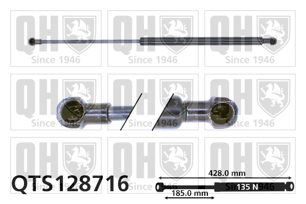 Gas Spring, rear window (QTS128716)