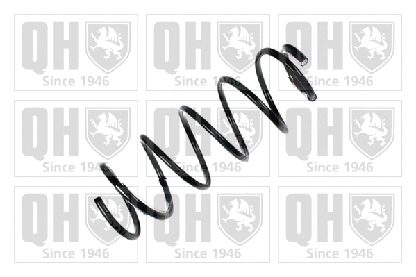 Suspension Spring (QCS6876)