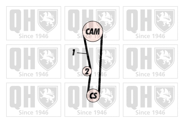 Timing Belt Kit (QBK532)
