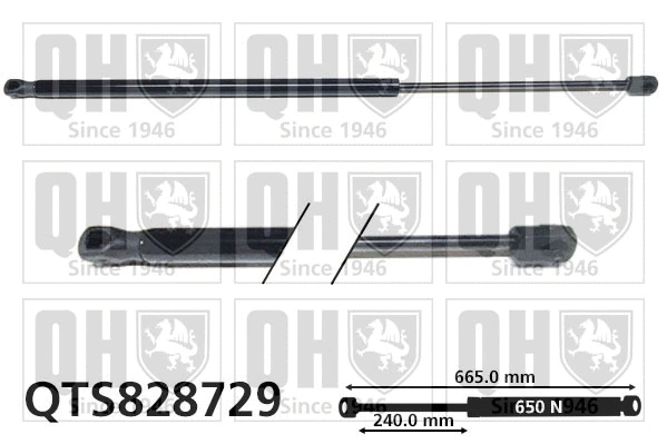 Gas Spring, boot/cargo area (QTS828729)