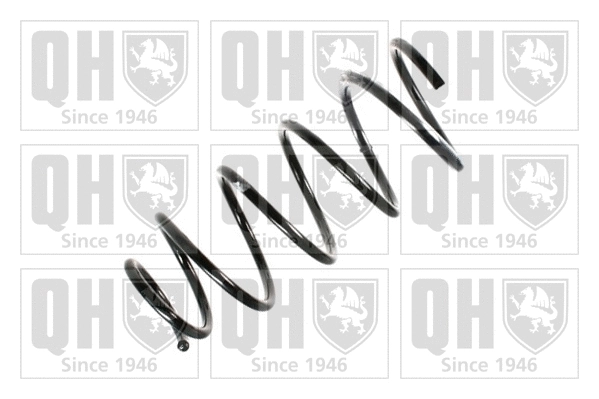 Suspension Spring (QCS7675)