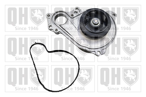 Water Pump, engine cooling (QCP3988)