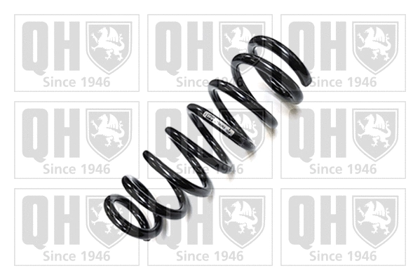 Suspension Spring (QCS5352)