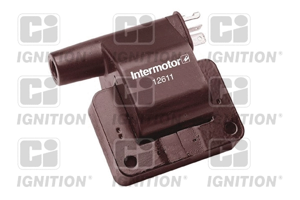 Ignition Coil (XIC8074)