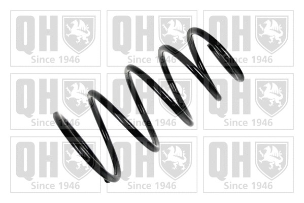 Suspension Spring (QCS6279)