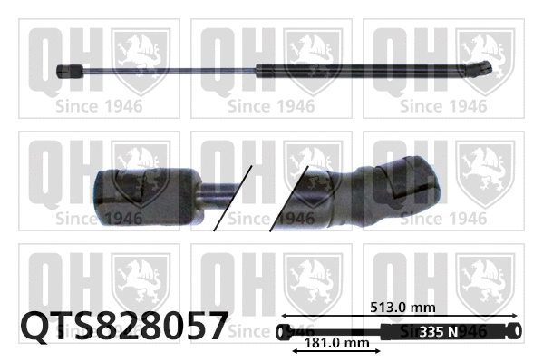 Gas Spring, boot/cargo area (QTS828057)