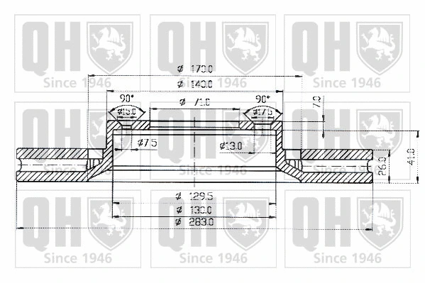 Brake Disc (BDC4507)
