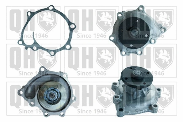 Water Pump, engine cooling (QCP3791)